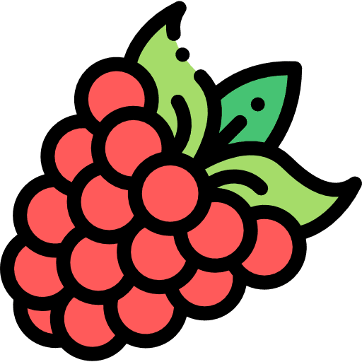 Raspberry fruit blackberry food and restaurant icon