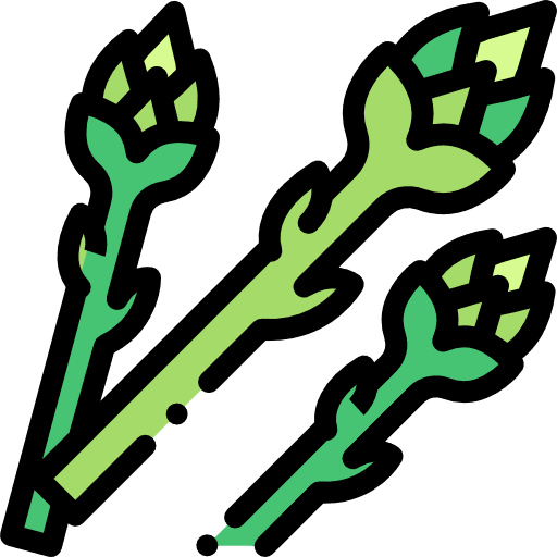 Asparagus vegan cook food icon Asparagus vegan cook food icon
