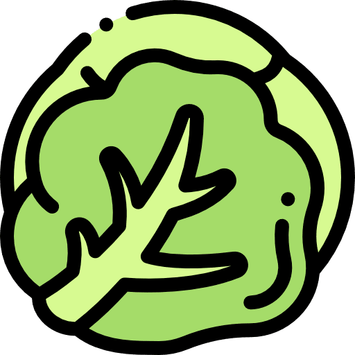 Cabbage diet cabbage organic icon Cabbage diet cabbage organic icon