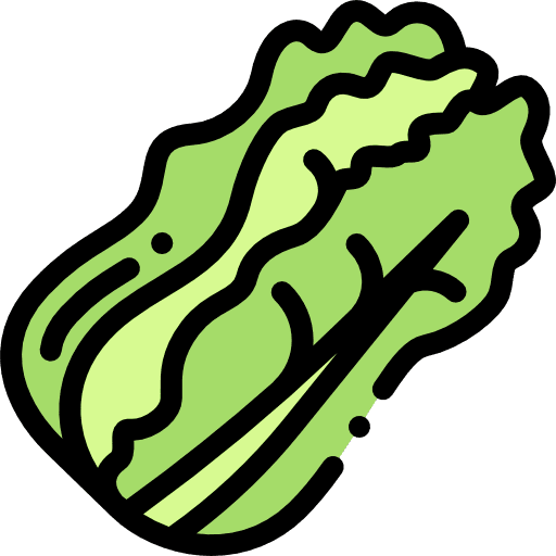 Cabbage greens cabbages food icon Cabbage greens cabbages food icon