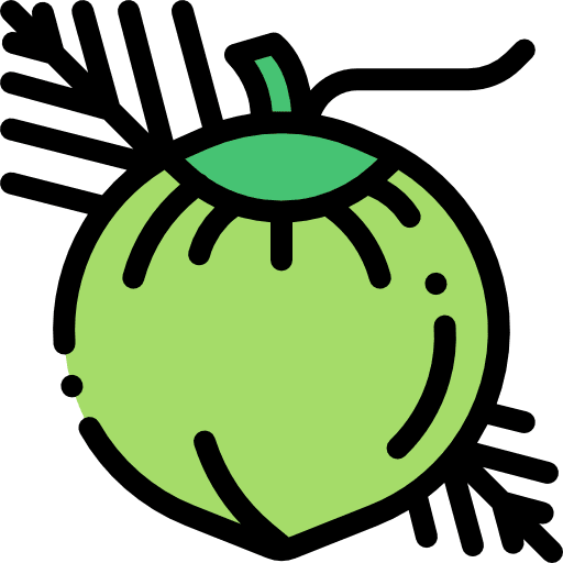 Coconut coconut drink food icon Coconut coconut drink food icon
