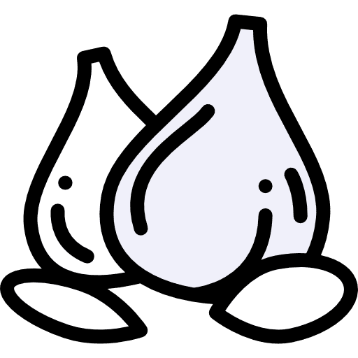 Garlic fruit clove garlic food and restaurant icon Garlic fruit clove garlic food and restaurant icon