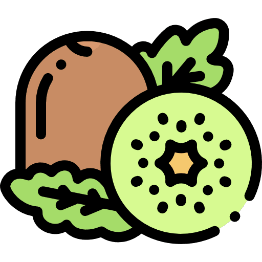 Kiwi food and restaurant vegan fruit icon Kiwi food and restaurant vegan fruit icon