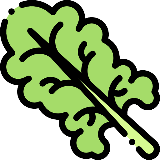 Lettuce organic vegetable food icon Lettuce organic vegetable food icon