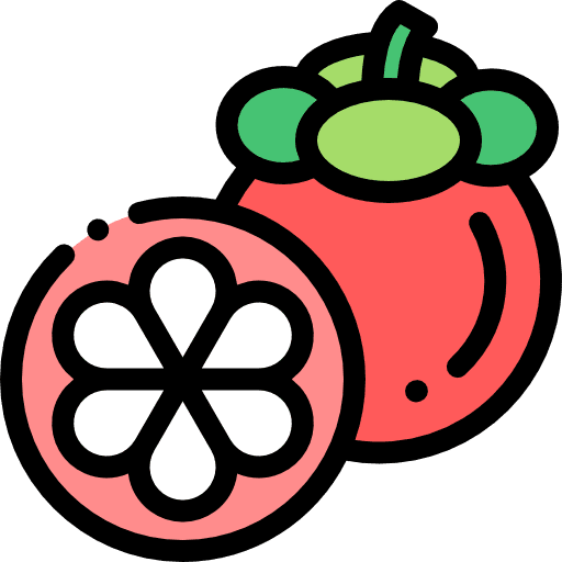 Mangosteen organic vegetarian healthy food icon Mangosteen organic vegetarian healthy food icon