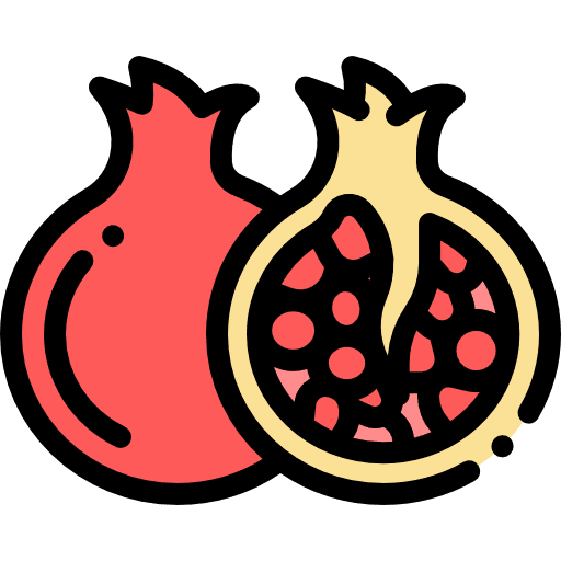 Pomegranate healthy food food vegan icon Pomegranate healthy food food vegan icon