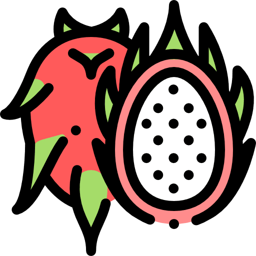 Pitaya fruit diet food icon Pitaya fruit diet food icon