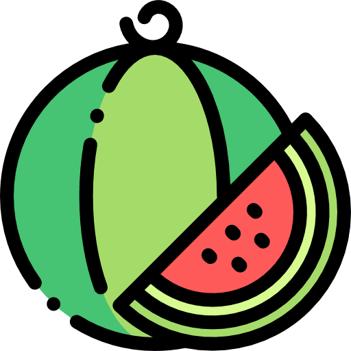 Watermelon organic food vegan icon Watermelon organic food vegan icon