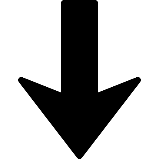Arrow down descending arrows lower icon