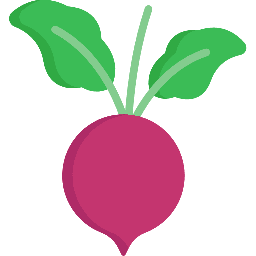 Beet organic food and restaurant vegetarian icon