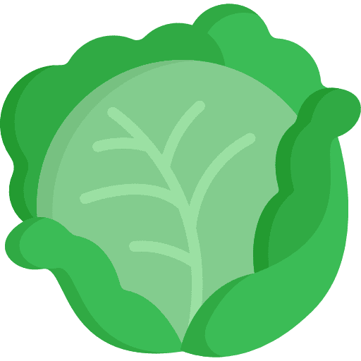 Cabbage food vegetarian vegan icon