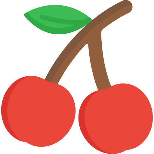 Cherry vegan food cherry icon