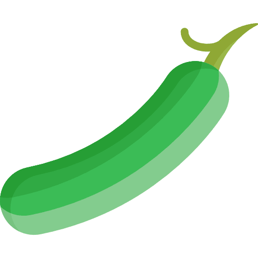 Cucumber vegetarian organic food and restaurant icon