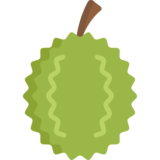 Durian organic healthy food food icon