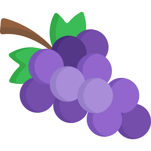 Grapes vegan grape food icon