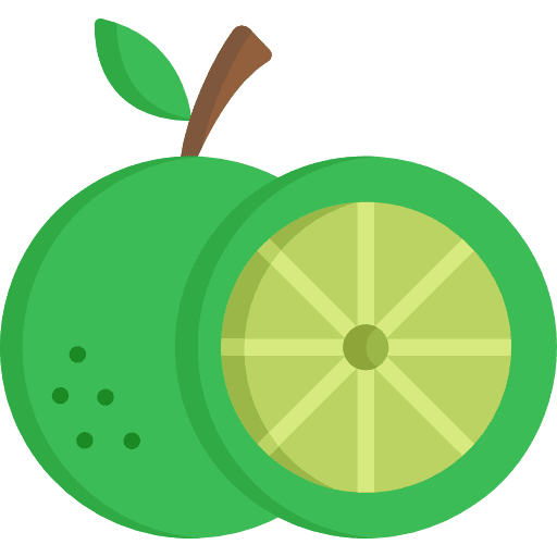 Lime fruit diet healthy food icon