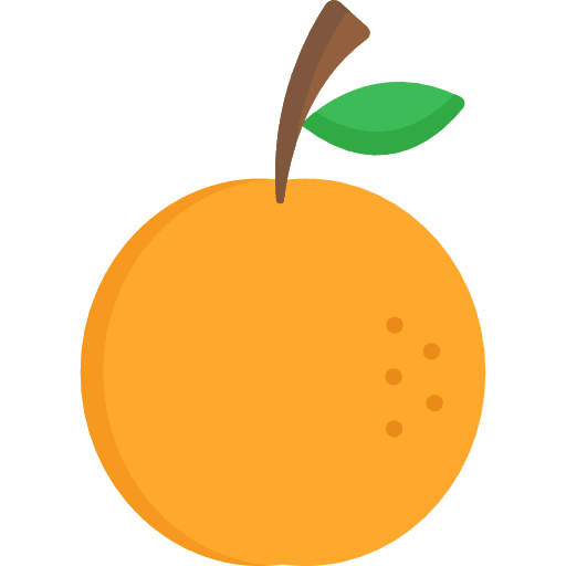 Orange vegetables vegetarian orange icon