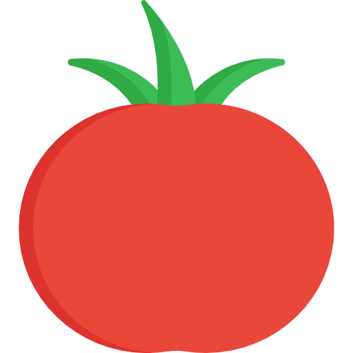 Tomato food healthy food fruit icon