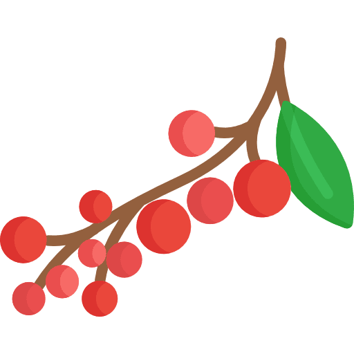 Berries diet berries food and restaurant icon