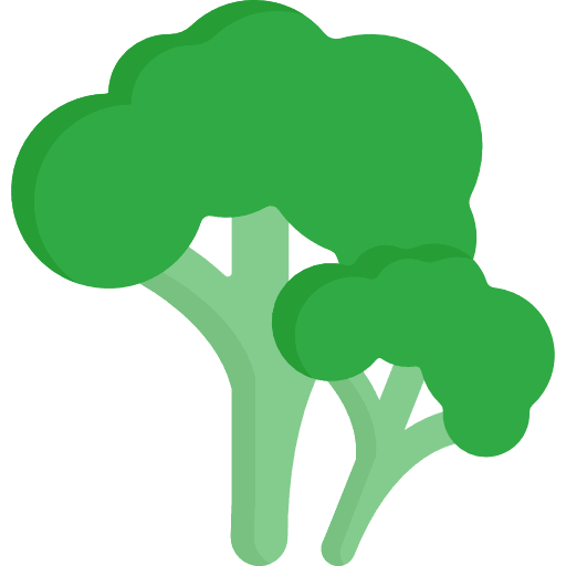 Broccoli healthy food diet vegan icon