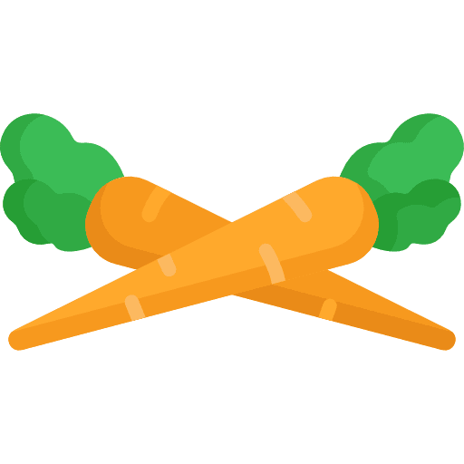 Carrot diet healthy food carrot icon