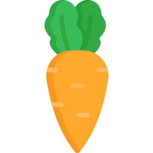 Carrot organic vegan vegetables icon
