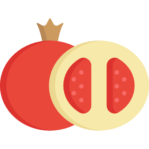 Grenade fruit diet healthy food icon