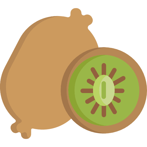 Kiwi healthy food kiwi vegan icon