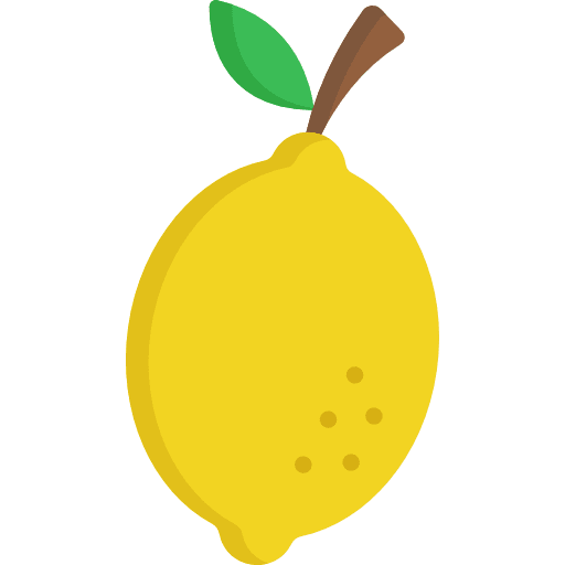 Lemon healthy food vegetarian food icon