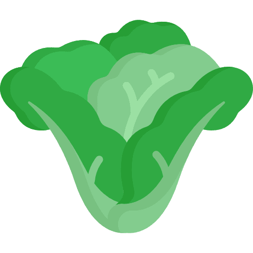 Lettuce vegetarian food and restaurant healthy food icon
