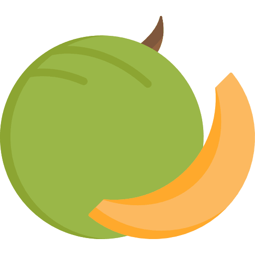 Melon healthy food food and restaurant food icon