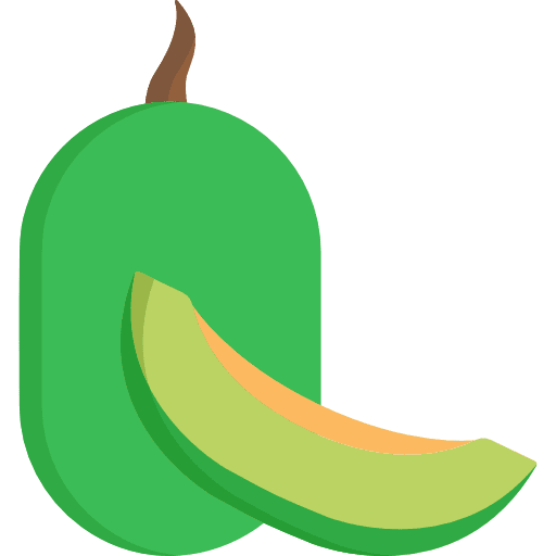 Melon melon vegetarian vegetables icon