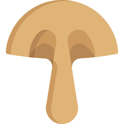 Mushroom food muscaria nature icon