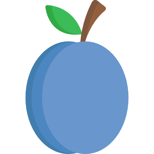 Plum vegan fruit organic icon