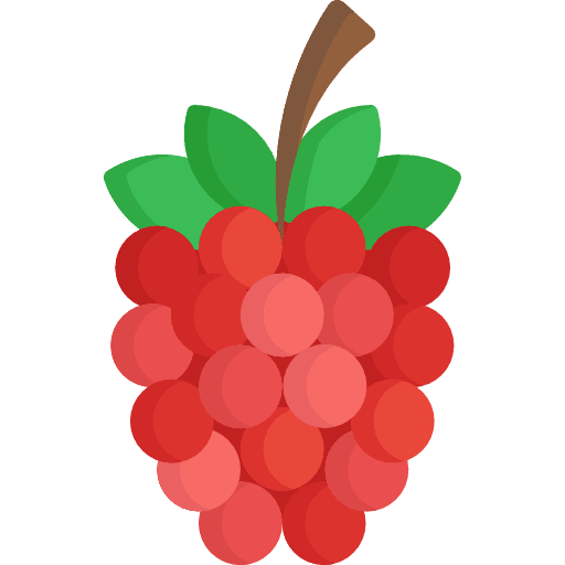 Raspberry food food and restaurant organic icon