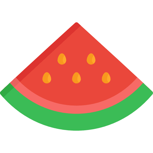 Watermelon vegetarian organic diet icon