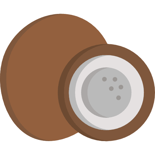 Coconut vegan vegetarian food icon
