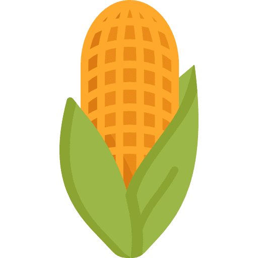 Corn vegetarian cereal food icon
