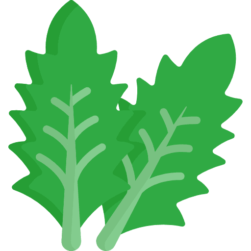 Lettuce organic lettuce vegan icon