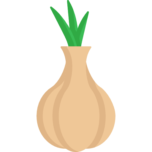 Onion food onion organic icon