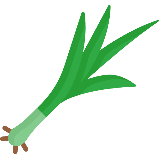 Onion vegetarian food vegetables icon