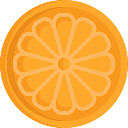 Orange orange citrus vegan icon