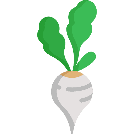 Radish organic food and restaurant vegetables icon