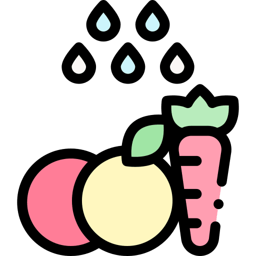 Wash wash healthcare and medical food icon