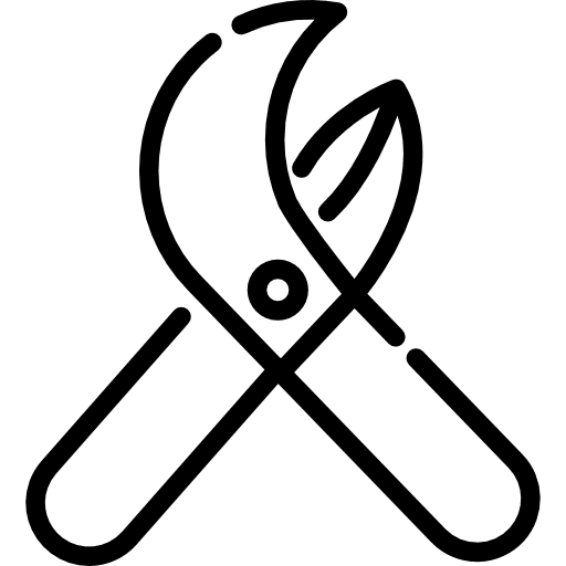 Pruners scissors garden secateurs icon