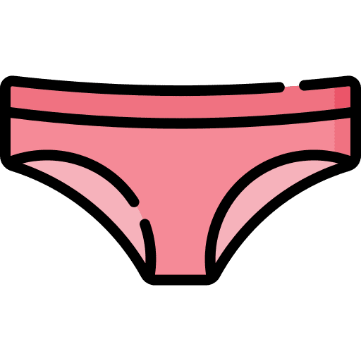 Underwear feminine lingerie clothing icon