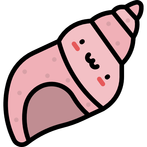 Seashell girly icons seashell animals icon