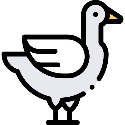 Duck animal kingdom mammal wildlife icon Duck animal kingdom mammal wildlife icon