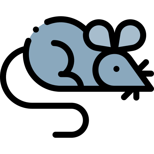 Mouse mouse animal kingdom animals icon