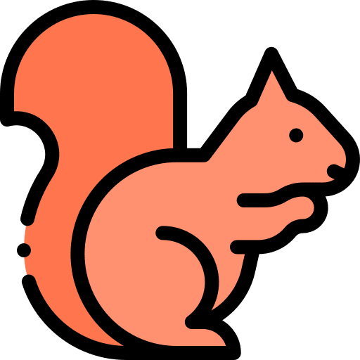 Squirrel mammal wild life animals icon Squirrel mammal wild life animals icon